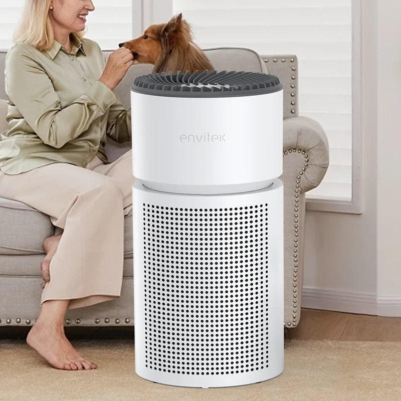 Home Air Purifier